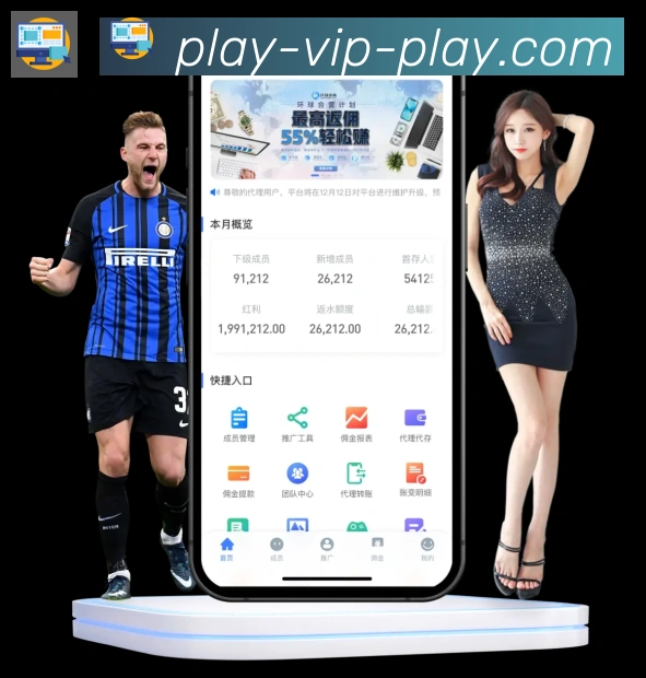 数据分析功能